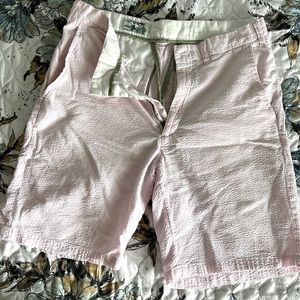 Castaway Clothing Pink Seersucker Shorts Size 30